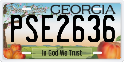 GA license plate PSE2636