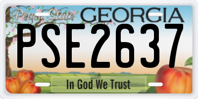 GA license plate PSE2637