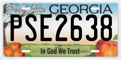 GA license plate PSE2638