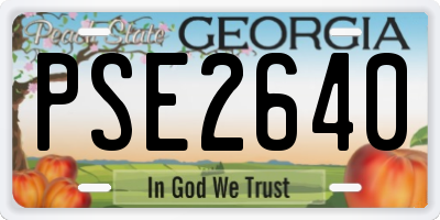 GA license plate PSE2640