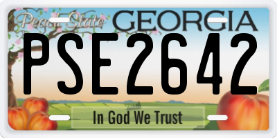 GA license plate PSE2642