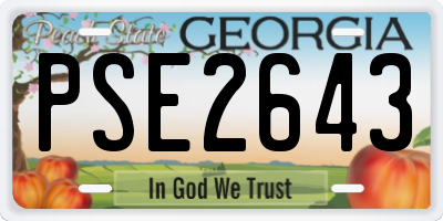 GA license plate PSE2643