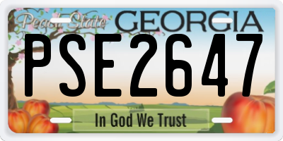 GA license plate PSE2647