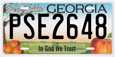 GA license plate PSE2648