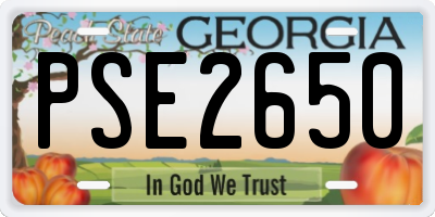 GA license plate PSE2650