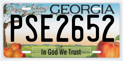 GA license plate PSE2652