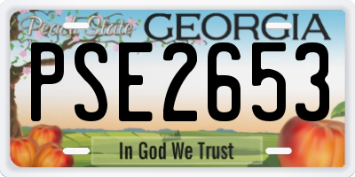 GA license plate PSE2653
