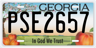 GA license plate PSE2657