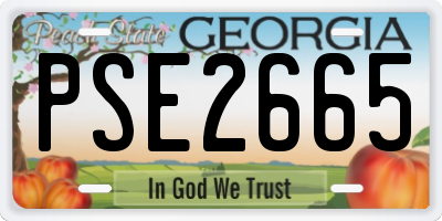 GA license plate PSE2665