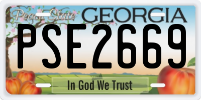 GA license plate PSE2669