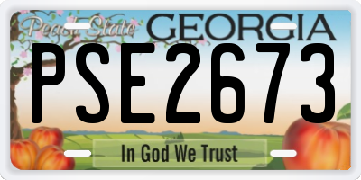 GA license plate PSE2673