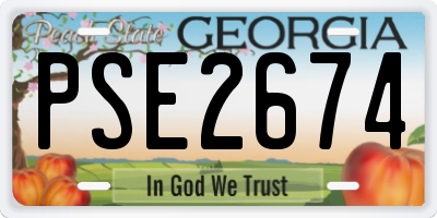 GA license plate PSE2674