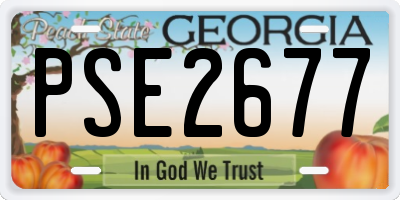 GA license plate PSE2677