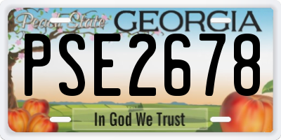 GA license plate PSE2678