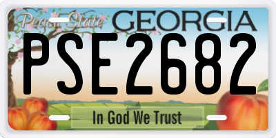 GA license plate PSE2682