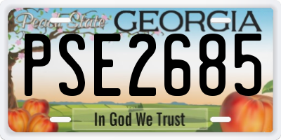GA license plate PSE2685