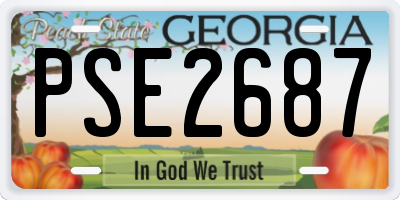 GA license plate PSE2687
