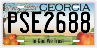 GA license plate PSE2688