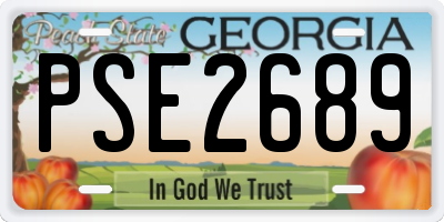 GA license plate PSE2689