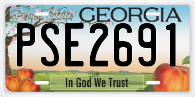 GA license plate PSE2691