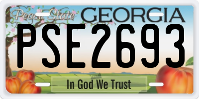 GA license plate PSE2693