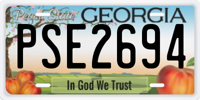 GA license plate PSE2694