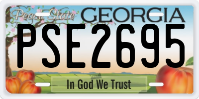 GA license plate PSE2695