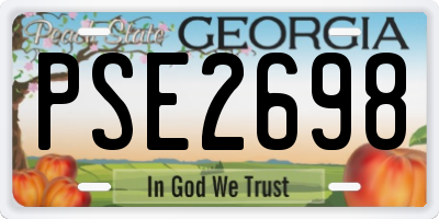 GA license plate PSE2698