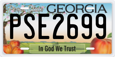 GA license plate PSE2699