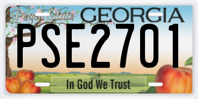 GA license plate PSE2701