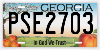 GA license plate PSE2703