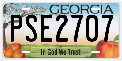 GA license plate PSE2707