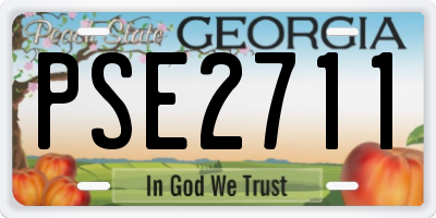 GA license plate PSE2711