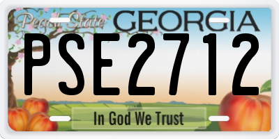 GA license plate PSE2712