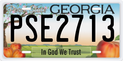 GA license plate PSE2713