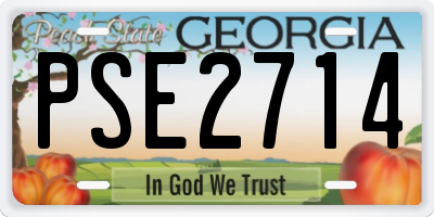 GA license plate PSE2714
