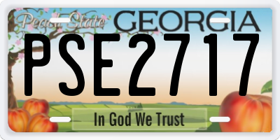 GA license plate PSE2717