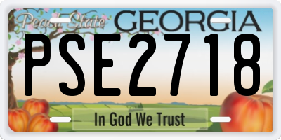GA license plate PSE2718