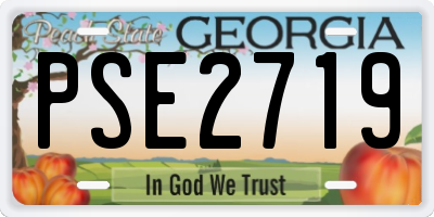 GA license plate PSE2719