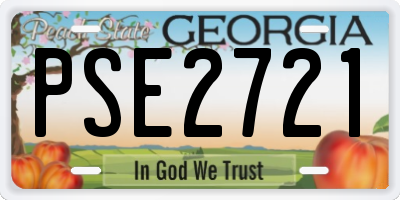 GA license plate PSE2721