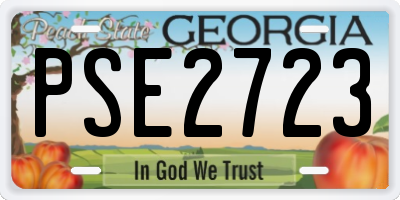 GA license plate PSE2723