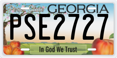 GA license plate PSE2727