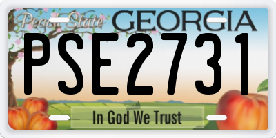 GA license plate PSE2731