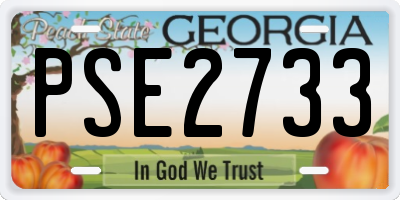 GA license plate PSE2733