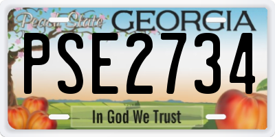 GA license plate PSE2734