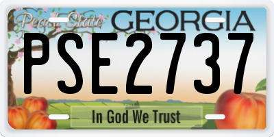 GA license plate PSE2737