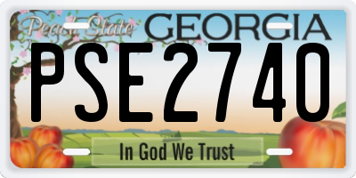 GA license plate PSE2740
