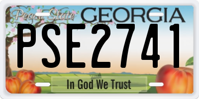 GA license plate PSE2741