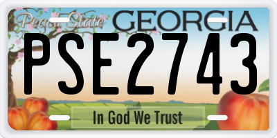 GA license plate PSE2743