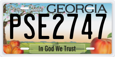 GA license plate PSE2747